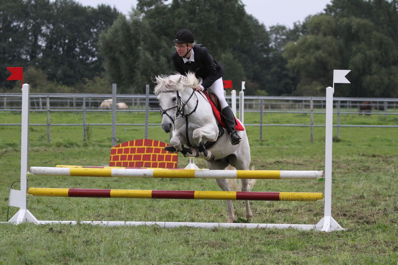 Bild 1425 - WBO-Turnier am 18.9.11